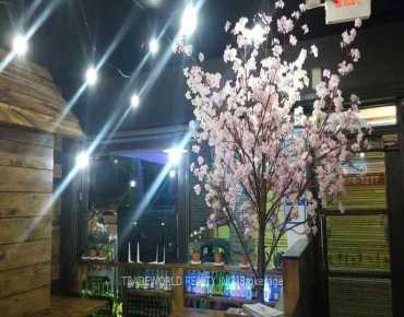 3307 Bayview Ave Bayview Woods-Steeles, 多伦多商业用地规划为Commercial Retai并占地1600.00平方尺
