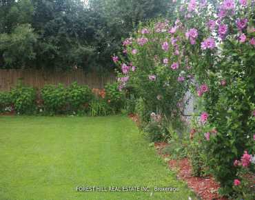 7163 Yonge St Grandview商业用地规划为商业地产物业占地897平方尺