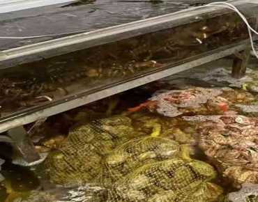 D20 - 63 Silver Star Blvd Milliken, Toronto is zoned as M with total area of 2300.00 sqft
