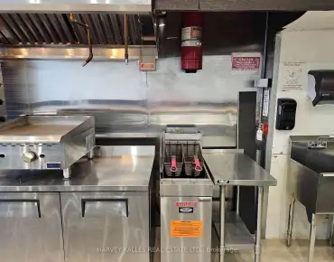 
249 Augusta Ave Toronto For Lease looking for tenant