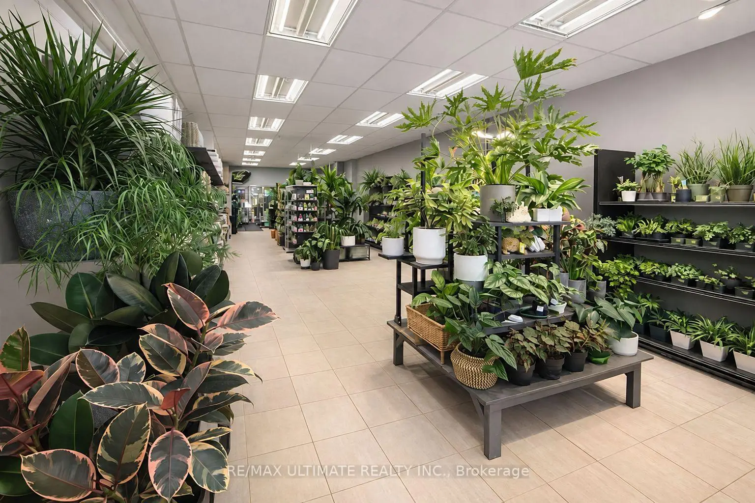 Commercial for lease
