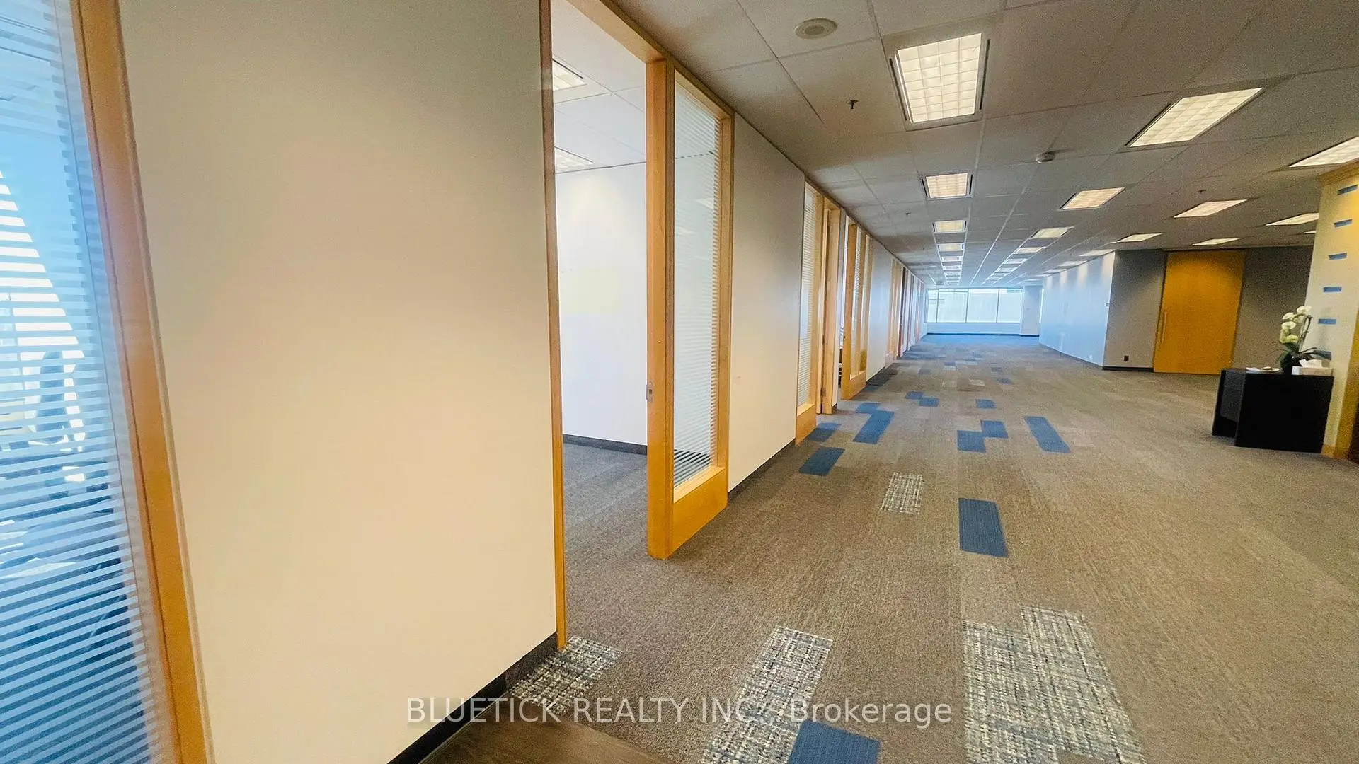 Commercial for lease